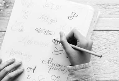 扒打一生肖、结论作答落实解释