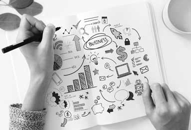 扒打一生肖、结论作答落实解释