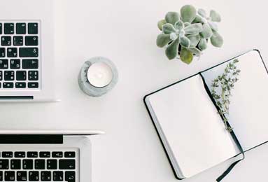 扒打一生肖、结论作答落实解释